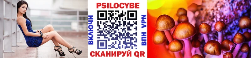 Купить  Новороссийск  Псилоцибиновые грибы Psilocybe 